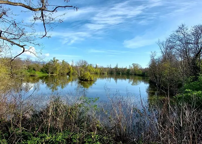 Chez Suzannala Ingersheim