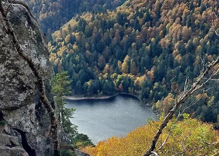 Chez Suzannala * Ingersheim