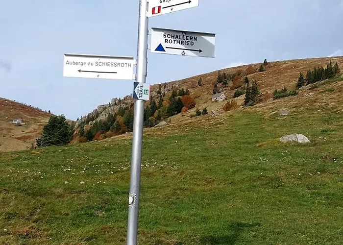 Apartamento Chez Suzannala Ingersheim